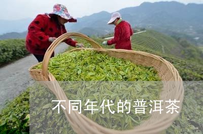 不同年代的普洱茶/2023033184936