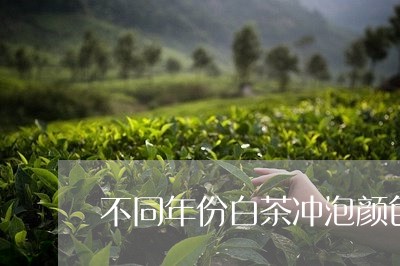 不同年份白茶冲泡颜色对比/2023040188393