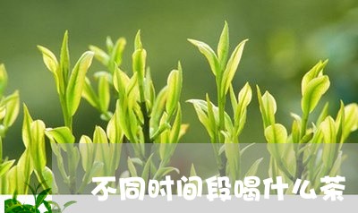 不同时间段喝什么茶/2023031945827