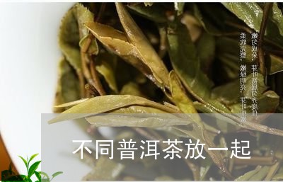 不同普洱茶放一起/2023033176372