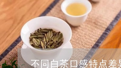 不同白茶口感特点差异分析/2023040160401