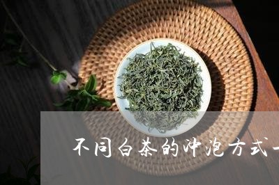 不同白茶的冲泡方式一样吗/2023040189583