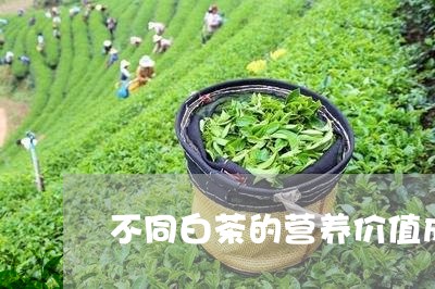 不同白茶的营养价值成分析/2023040101805