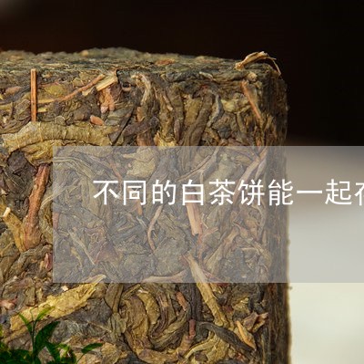 不同的白茶饼能一起存放吗/2023040148426