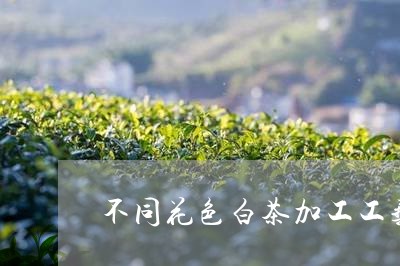 不同花色白茶加工工艺对比/2023040155625