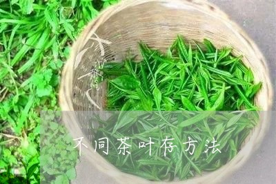 不同茶叶存方法/2023032671594