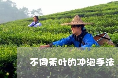 不同茶叶的冲泡手法/2023032296989