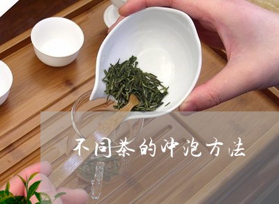 不同茶的冲泡方法/2023032545271