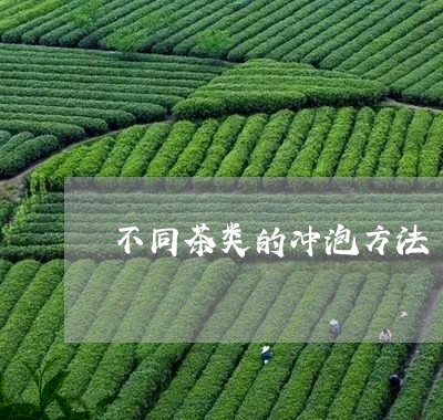 不同茶类的冲泡方法/2023032193816