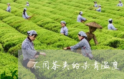 不同茶类的杀青温度/2023041786059