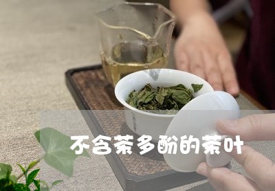 不含茶多酚的茶叶/2023032670684