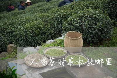 不喝茶时茶杯放哪里/2023032014939