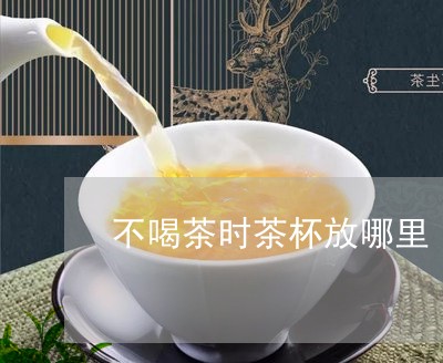 不喝茶时茶杯放哪里/2023041649370