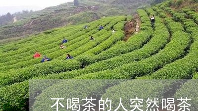 不喝茶的人突然喝茶/2023032170592