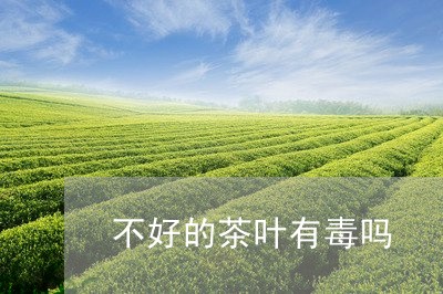 不好的茶叶有毒吗/2023032604149