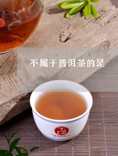 不属于普洱茶的是/2023033051736