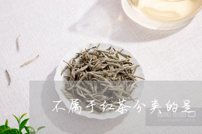 不属于红茶分类的是/2023041797380