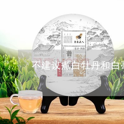 不建议煮白牡丹和白毫银针/2023040105848