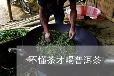 不懂茶才喝普洱茶/2023041111714