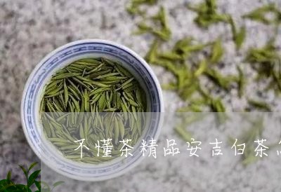 不懂茶精品安吉白茶怎么买/2023040100704