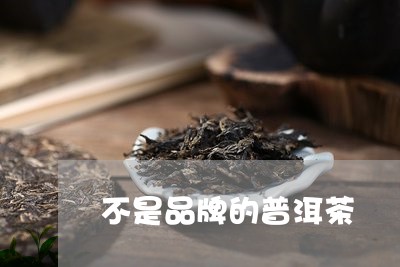 不是品牌的普洱茶/2023041116161