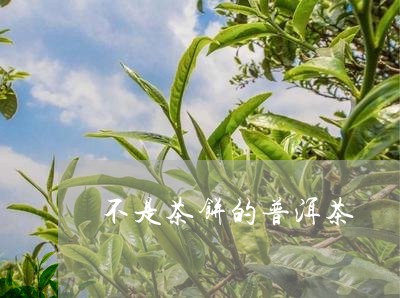 不是茶饼的普洱茶/2023041138783