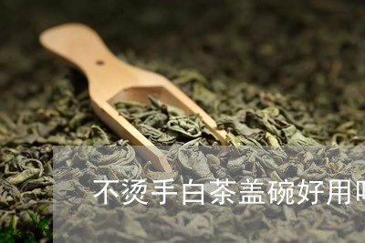 不烫手白茶盖碗好用吗图片/2023033175048