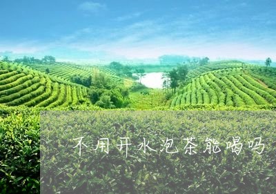 不用开水泡茶能喝吗/2023032073048