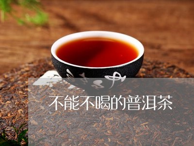 不能不喝的普洱茶/2023033082856