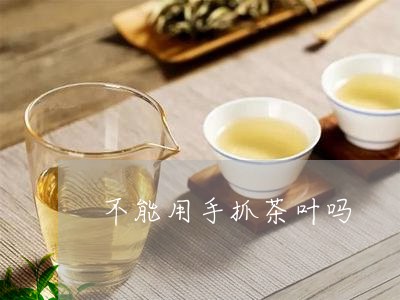 不能用手抓茶叶吗/2023032682837