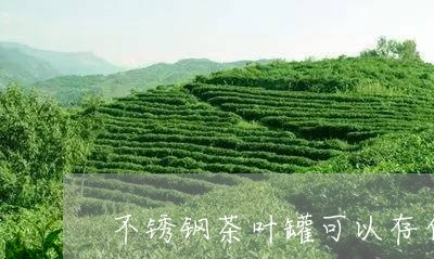 不锈钢茶叶罐可以存白茶吗/2023040130604