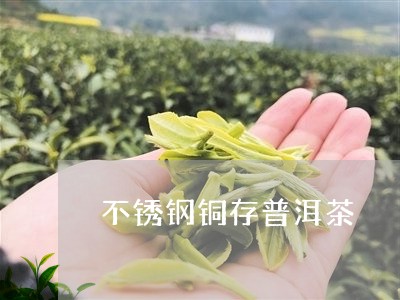 不锈钢铜存普洱茶/2023040102805