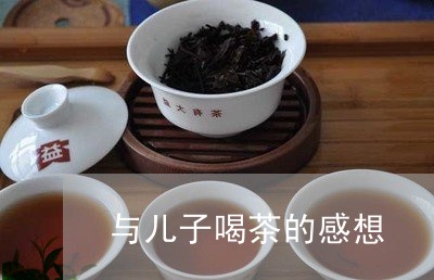 与儿子喝茶的感想/2023032542956