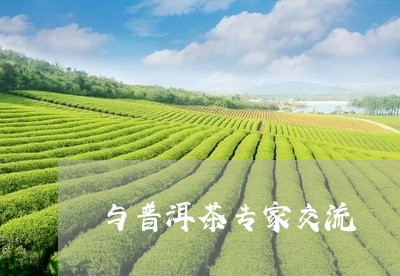 与普洱茶专家交流/2023041132916