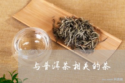 与普洱茶相关的茶/2023031601505