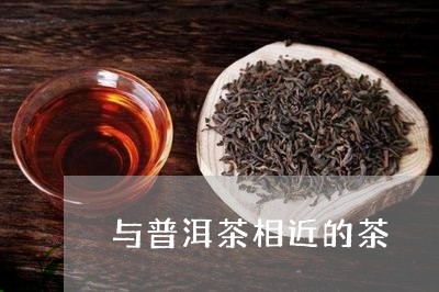 与普洱茶相近的茶/2023041166159