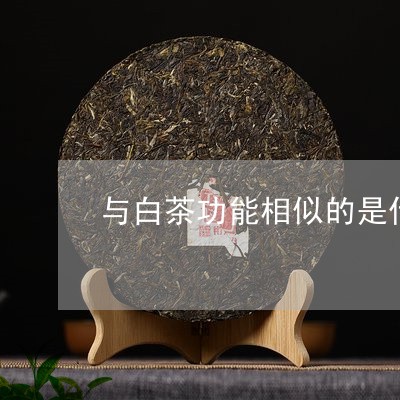 与白茶功能相似的是什么茶/2023033145159