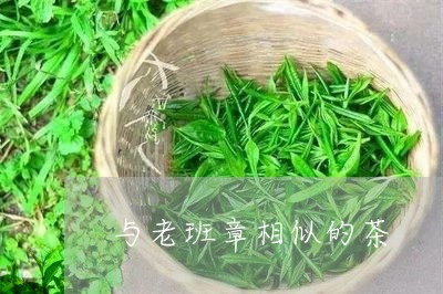 与老班章相似的茶/2023032991601