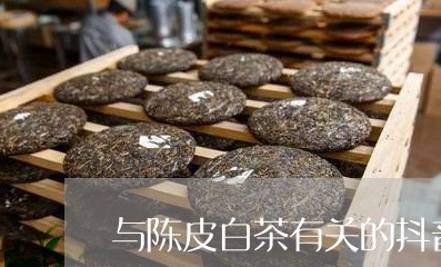 与陈皮白茶有关的抖音视频/2023040183717