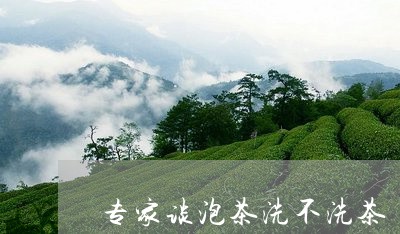 专家谈泡茶洗不洗茶/2023032060604