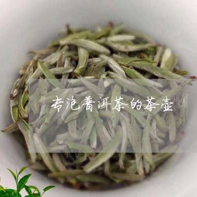 专泡普洱茶的茶壶/2023040168471