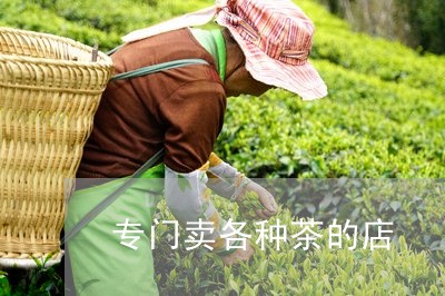 专门卖各种茶的店/2023032440483