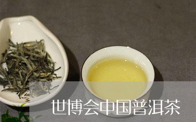 世博会中国普洱茶/2023041396360