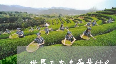 世界三大名茶是什么/2023032044727