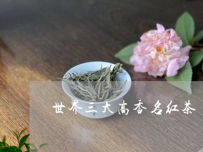 世界三大高香名红茶/2023041456562