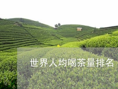 世界人均喝茶量排名/2023041690036