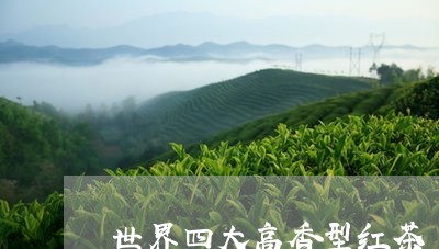 世界四大高香型红茶/2023041504159