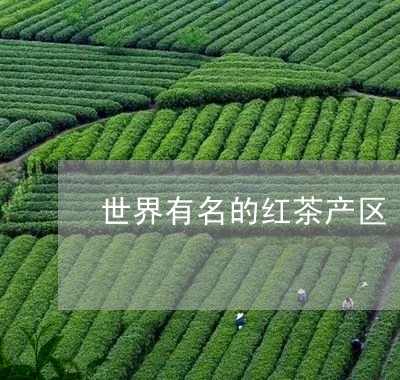 世界有名的红茶产区/2023031843814