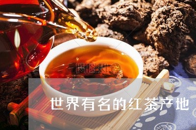 世界有名的红茶产地/2023031916160