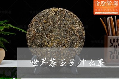 世界茶王是什么茶/2023032493016